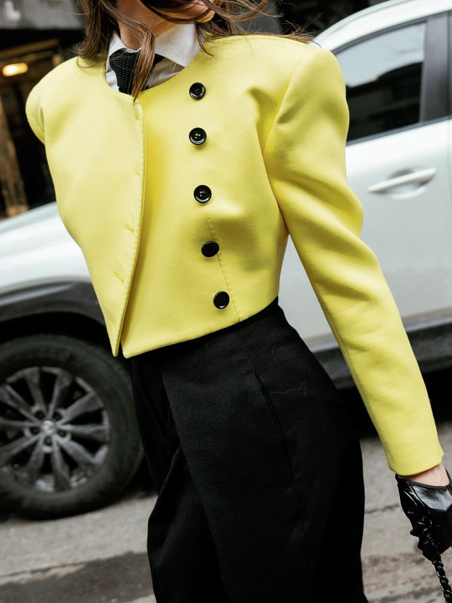 Elegant Singe-breasted Blazer