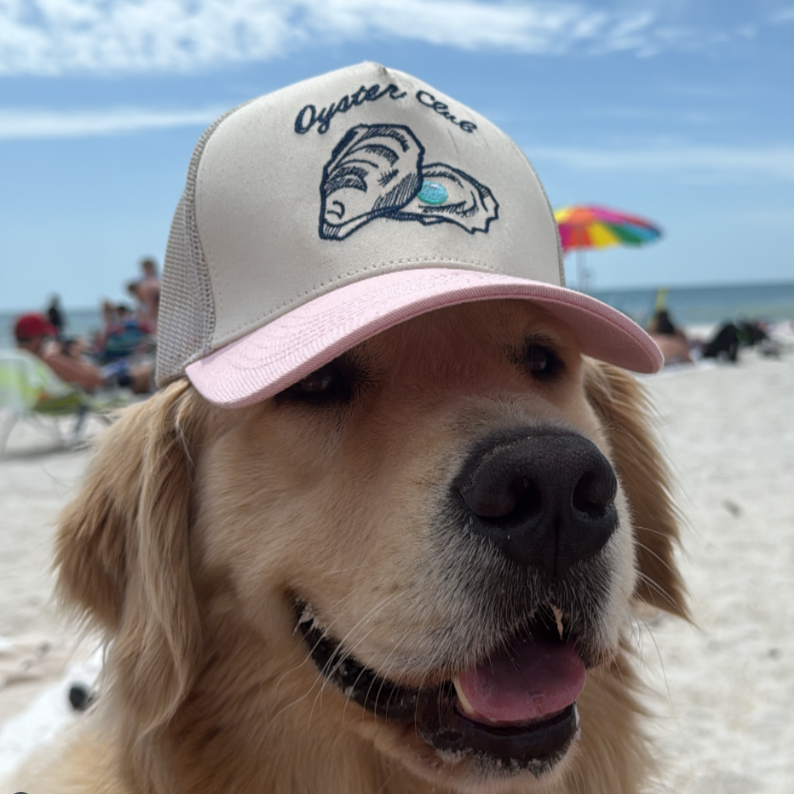 Embroidery Oyster Breathable Cap
