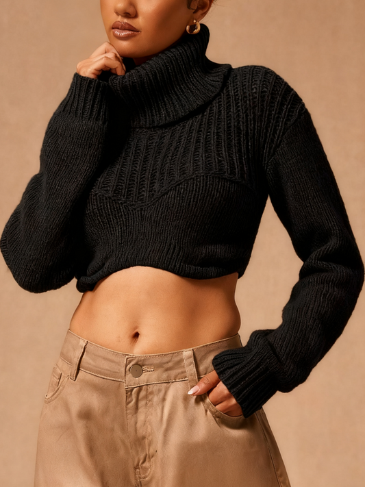 High Neck Corset Knit Crop Sweater